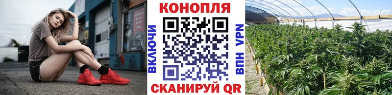 где купить   Пушкино  МАРИХУАНА индика 